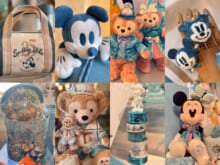 【東京ディズニーシー 25周年】オススメグッズ38選！ダッフィー＆フレンズも│ぬいぐるみ、身に着け、シール、お菓子etc.