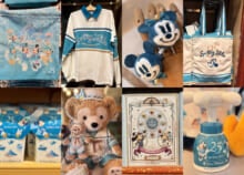 【東京ディズニーシー 25周年】オススメグッズ71選！ダッフィー＆フレンズも│ぬいぐるみ、お菓子、文房具etc.