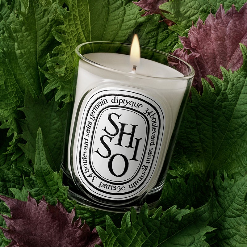 ディプティックの新作キャンドル「シソ(紫蘇)」