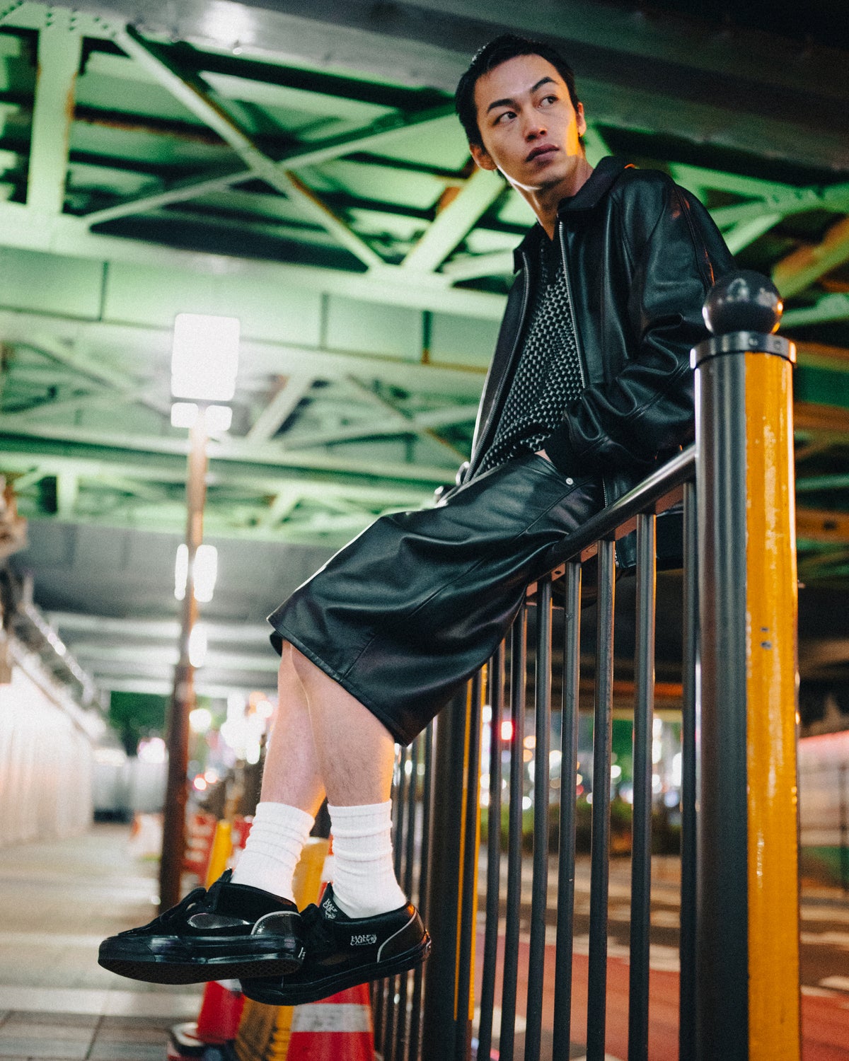 VANS / LX HALF CAB 33 TPU &rdquo;TOKYO&rdquo; 3