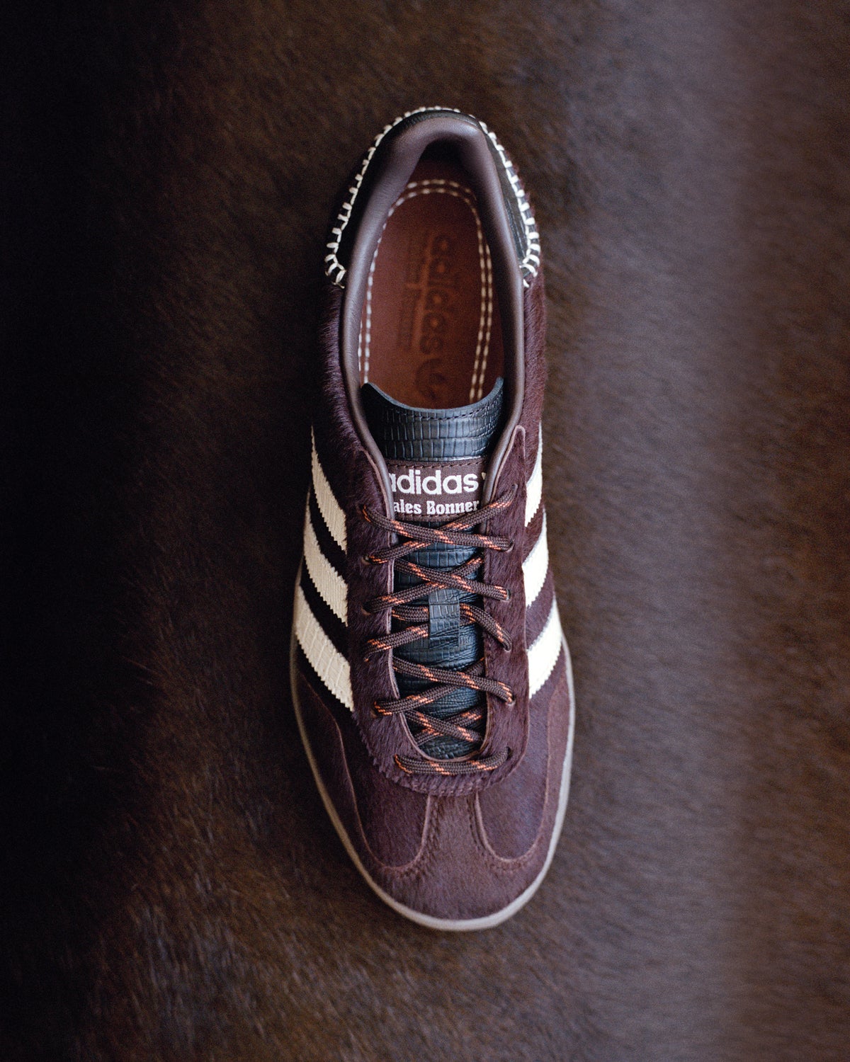 WB GAZELLE PONY 　ビジュアル