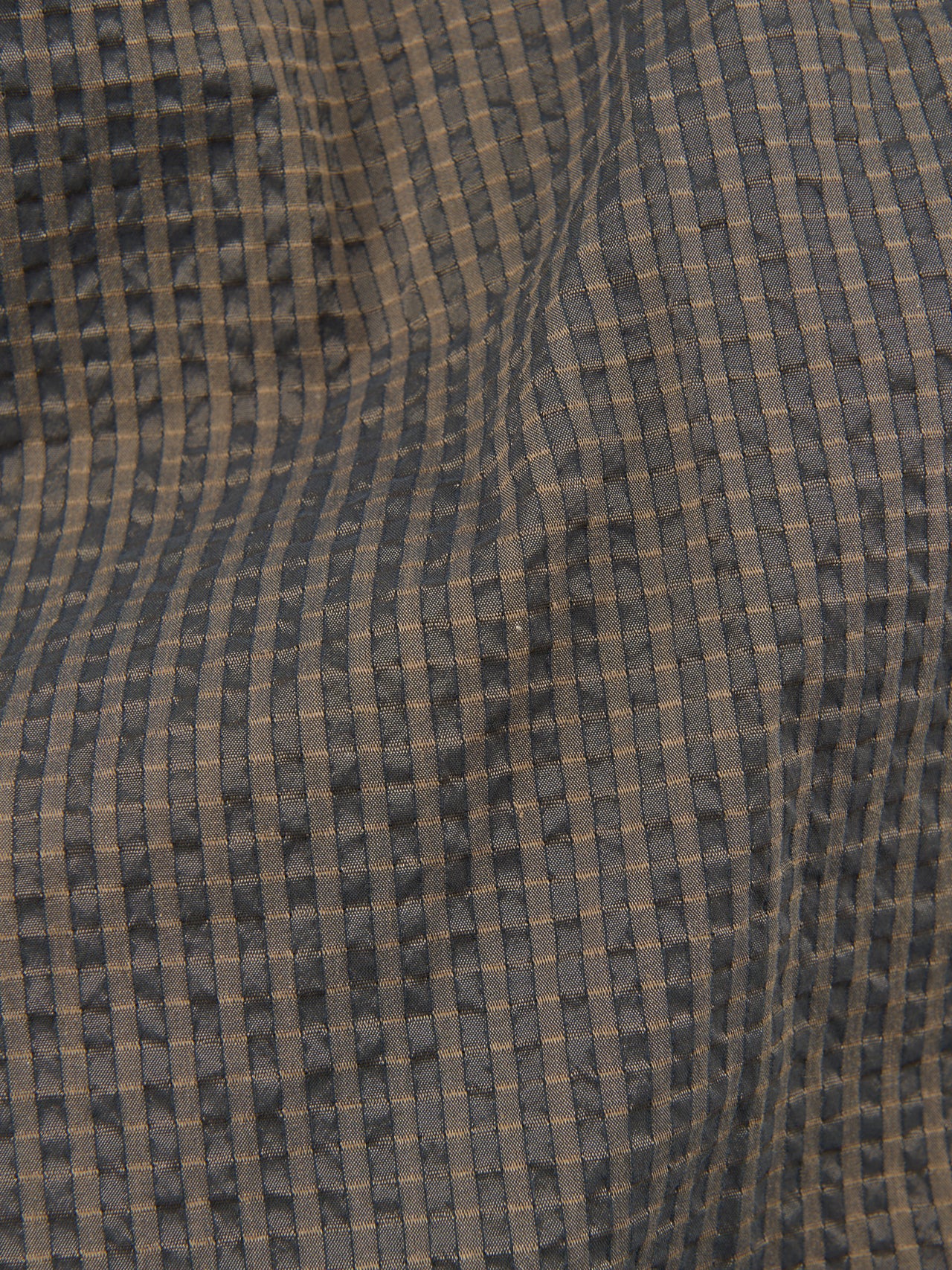 NEAT、Dot's Seersucker Wide、素材