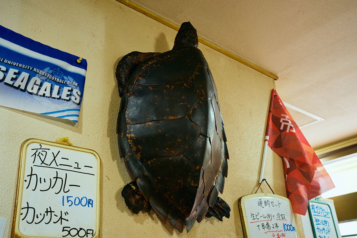 【東京・大森】とんかつ専門店「五郎のとんかつ」初代から受け継いだカメの剥製。