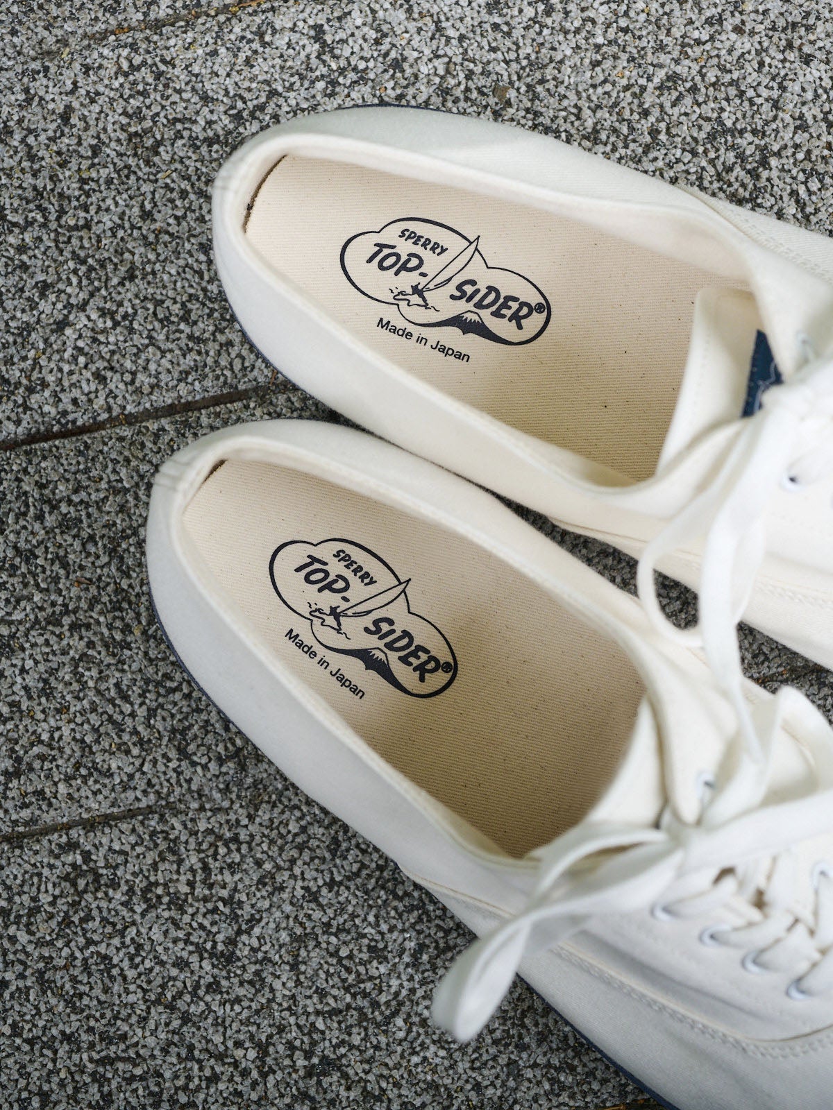 「SPERRY」CLASSIC CVO JM ユニセックススニーカー 中敷き
