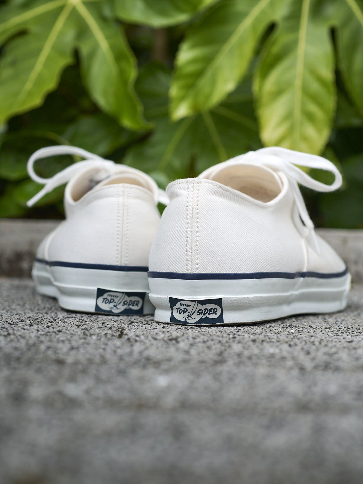 「SPERRY」CLASSIC CVO JM ユニセックススニーカー バック