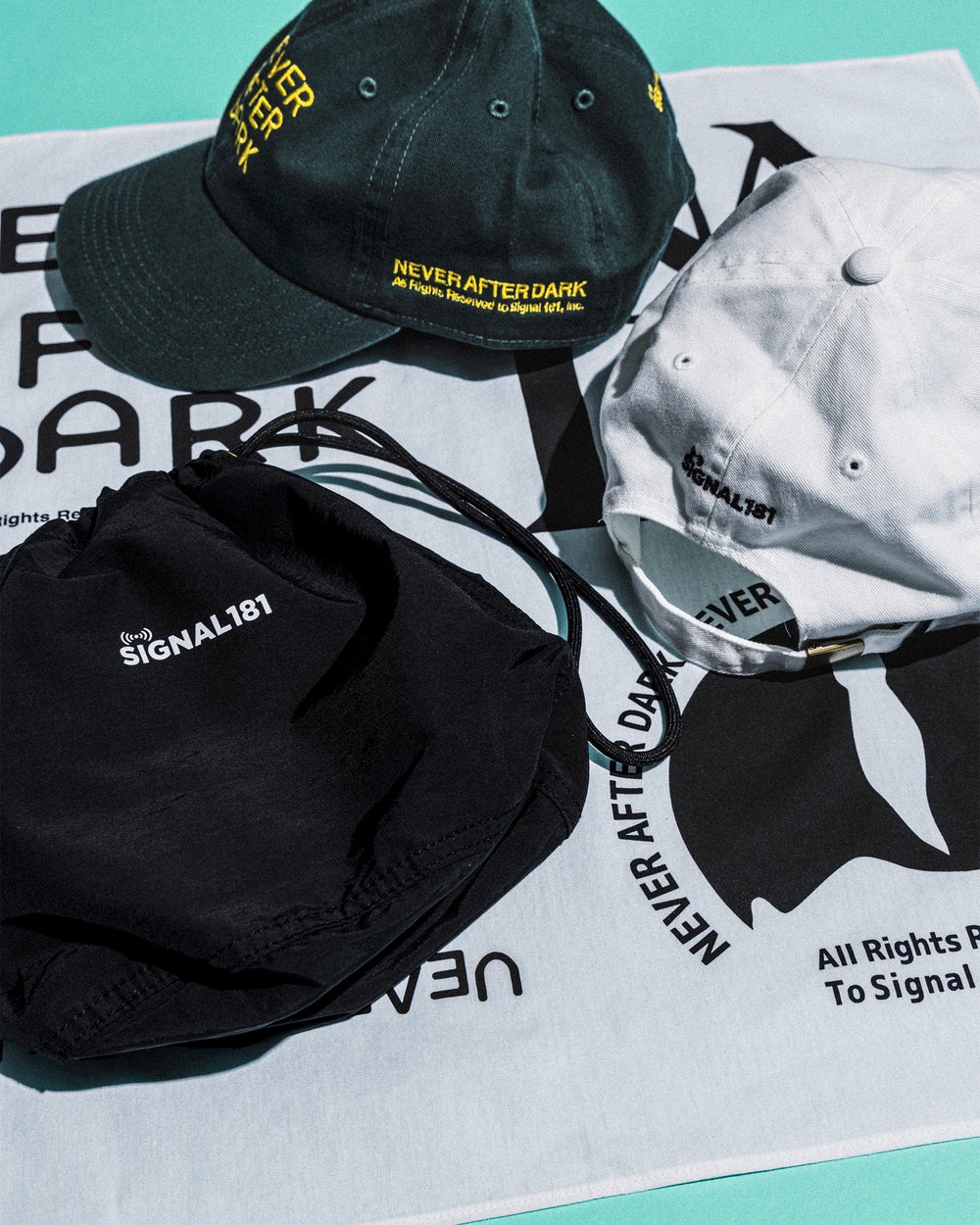 NAD Logo Cap NAD Purse Bag NAD Logo Bandana　２