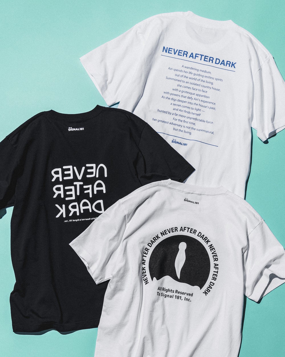 NAD Icon Logo S/S Tee