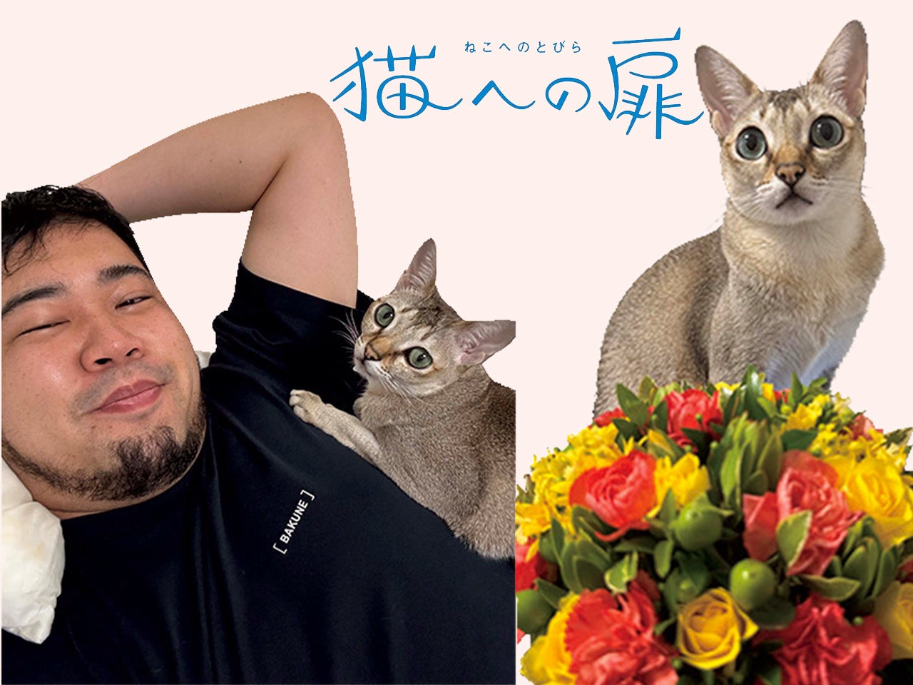 ［シンガプーラ］お笑い芸人・松井ケムリの愛猫の話。「たまに人間が折れなきゃいけないのがすごくいい」。【猫への扉】
