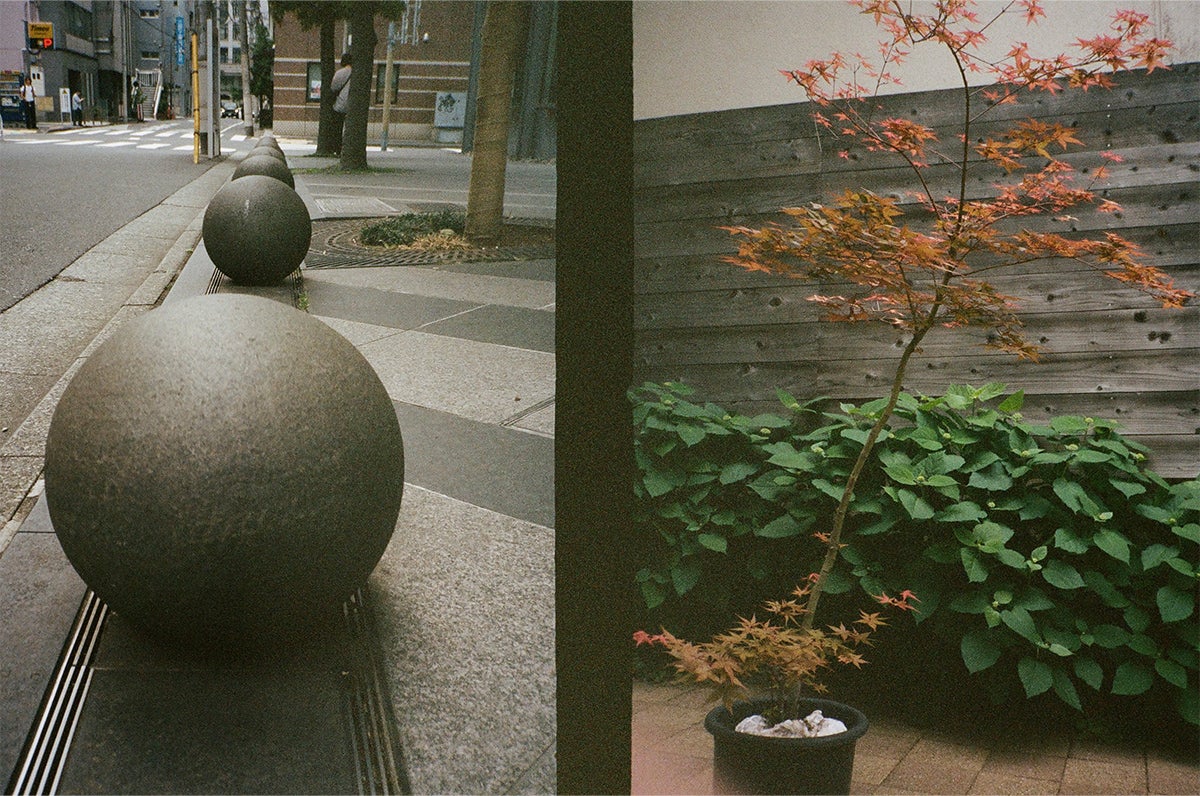 中島裕翔撮影のフィルム写真　１