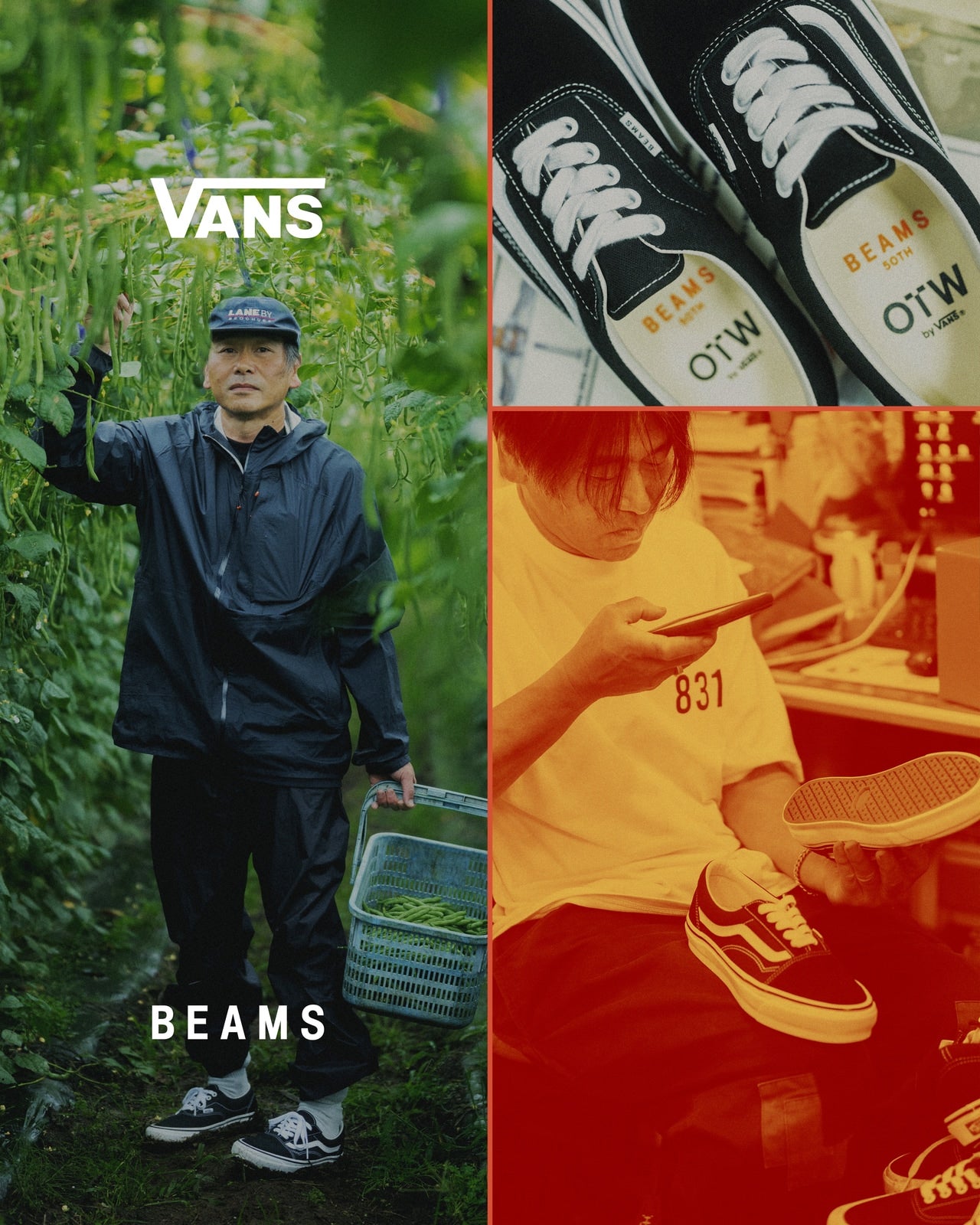 VANS BEAMS ビジュアル3