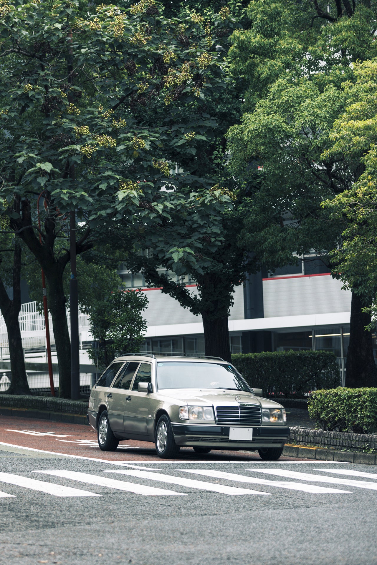MERCEDES-BENZ 320TE／メルセデス・ベンツ ミディアムクラス 320TE　5