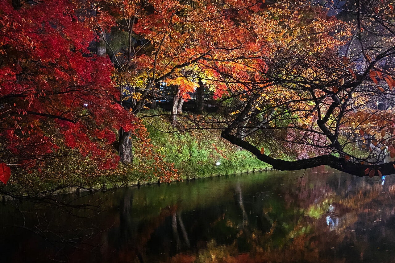 青森県『来々軒』夜の弘前での一枚