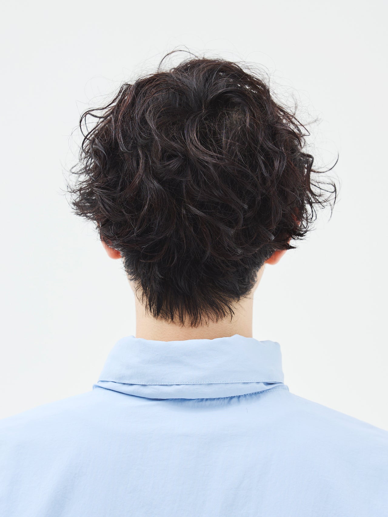 ラフなのに、どこか品がある。雰囲気づくりができるショートマッシュパーマ【東京最旬ヘアカタログ】back