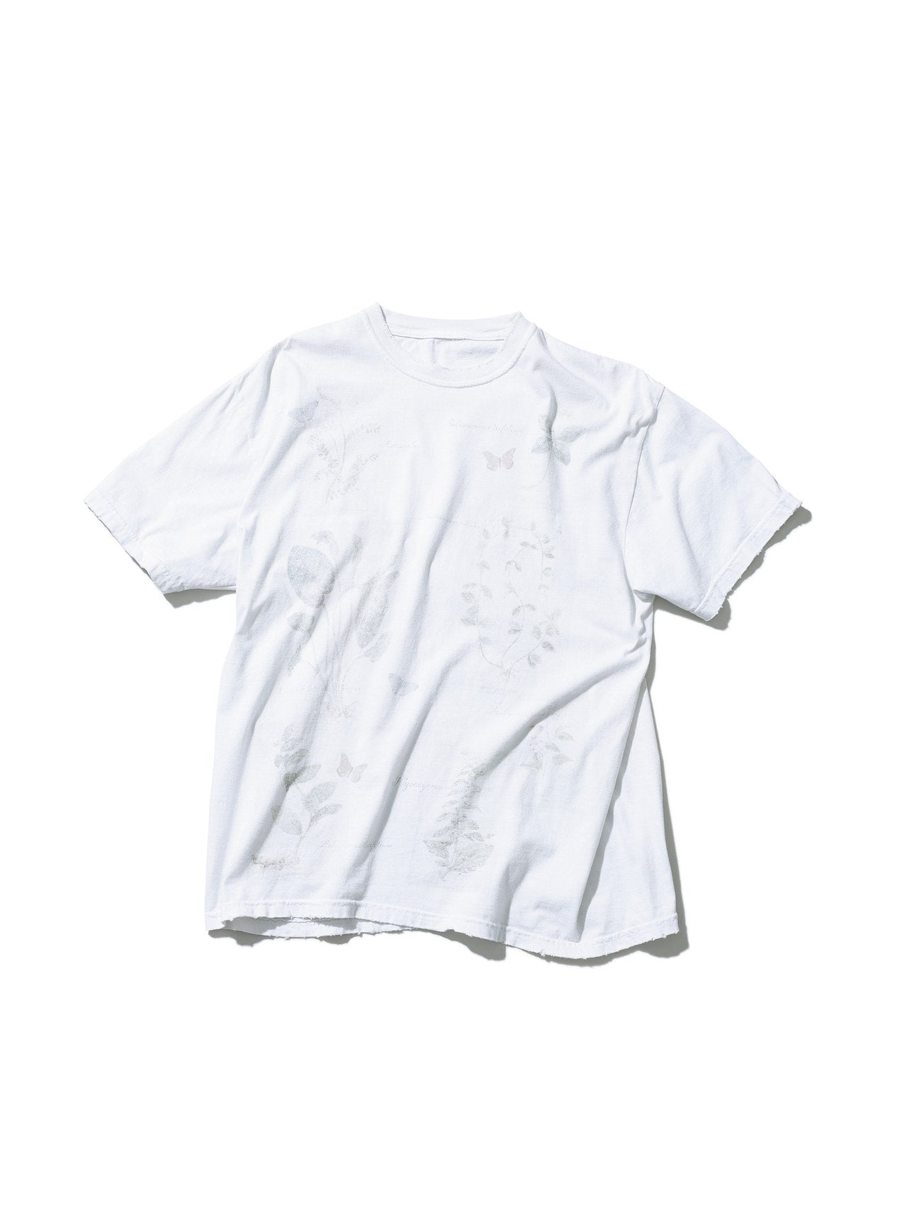 アンセルムのＴシャツ