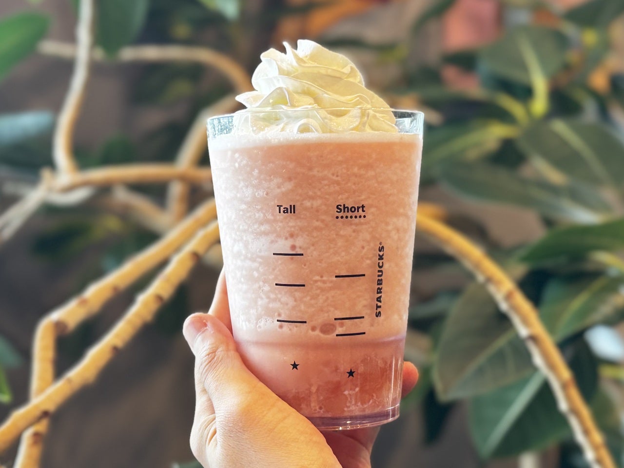 スタバ2026桃『ピーチ & ピーチミルク フラペチーノ®』後ろ