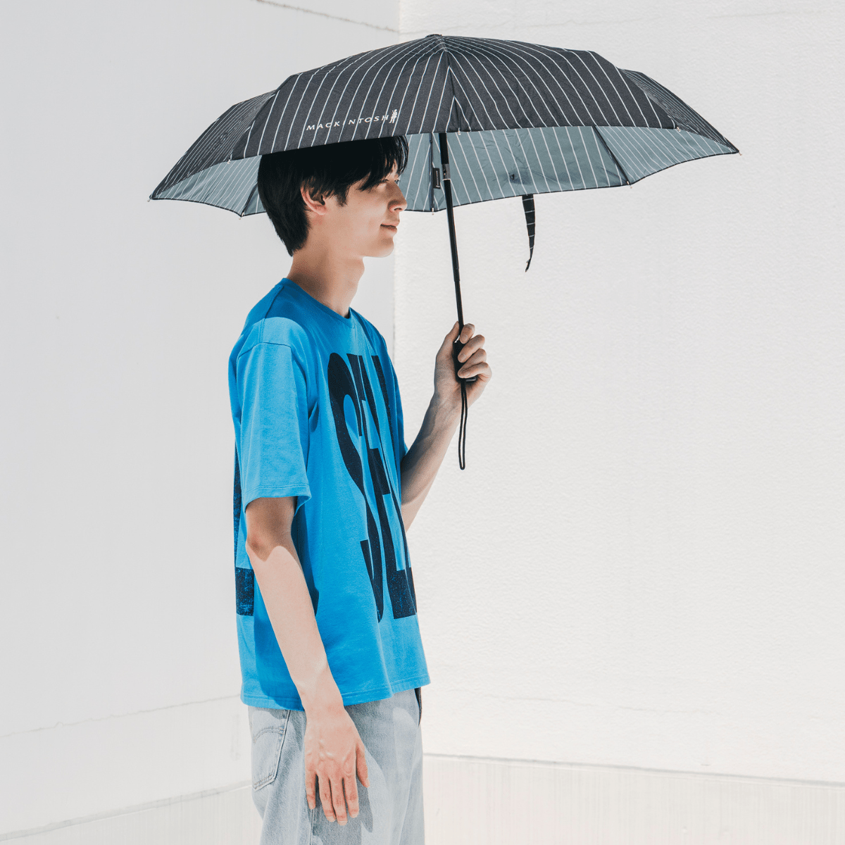 マッキントッシュ AYRの使用イメージ