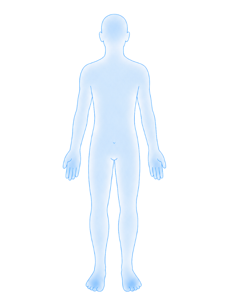 エクリン腺の分布図