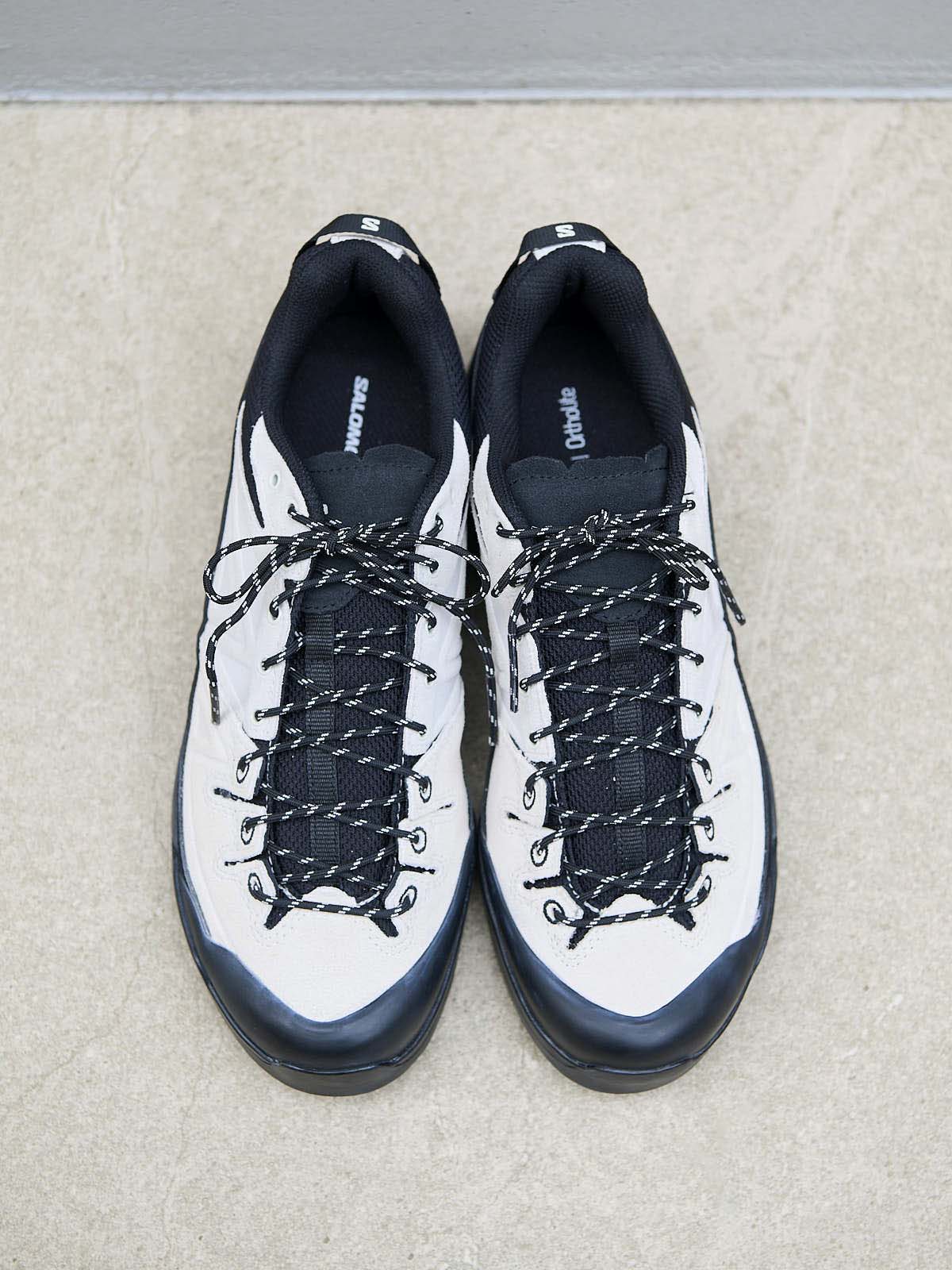 SALOMON X-ALP LTR スニーカーの俯瞰