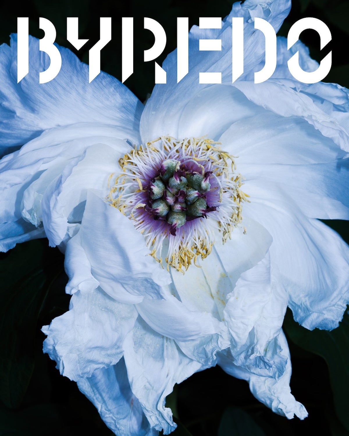 BYREDO 日本限定新作フレグランス 「OBORO」 イメージ画像