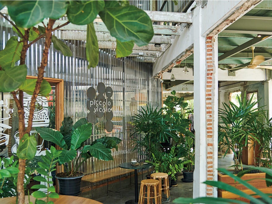 Piccolo Vicolo Cafeのグリーン