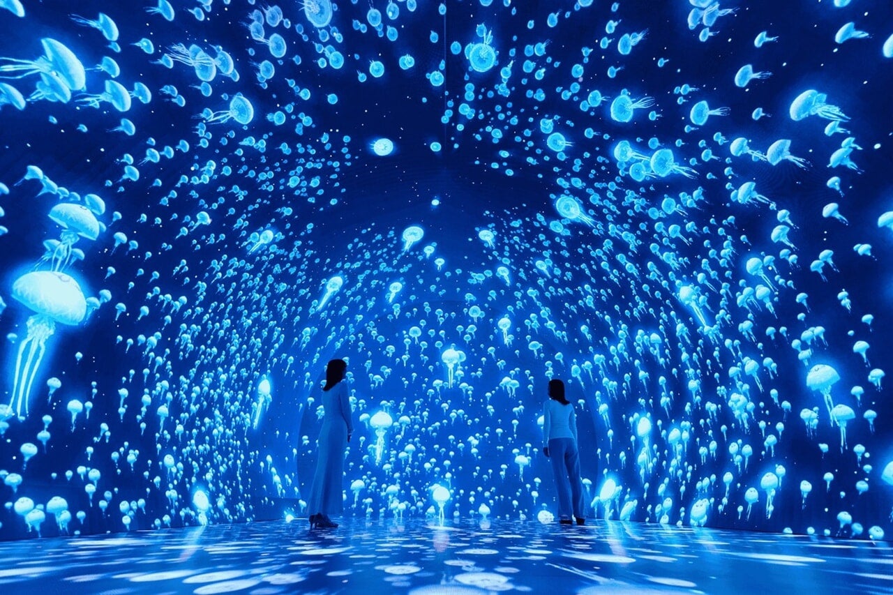 ワンダリア横浜のゾーン②