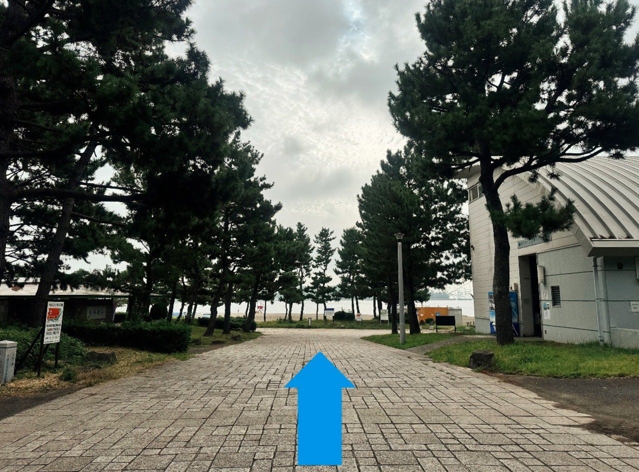 スターバックス コーヒー 横浜海の公園店 最寄駅からの行き方2