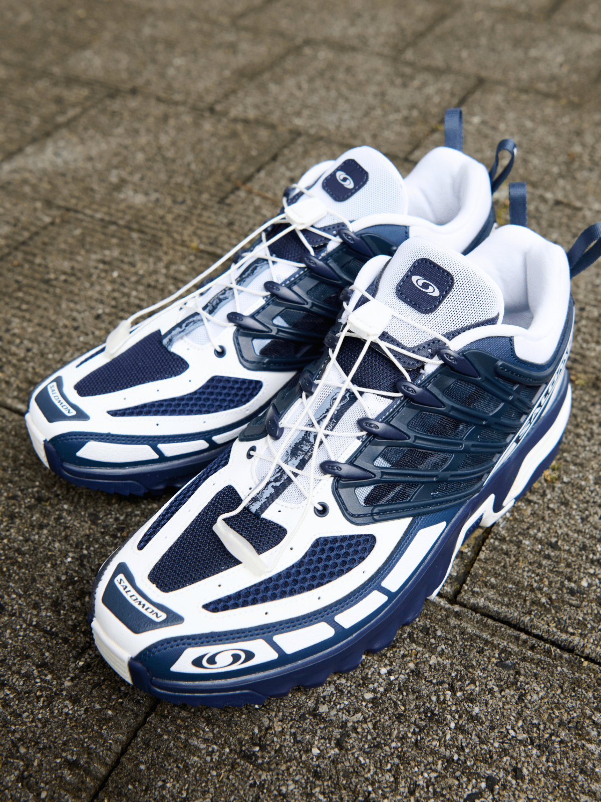 SALOMON「ACS PRO &ldquo;Nami Pack&rdquo;」