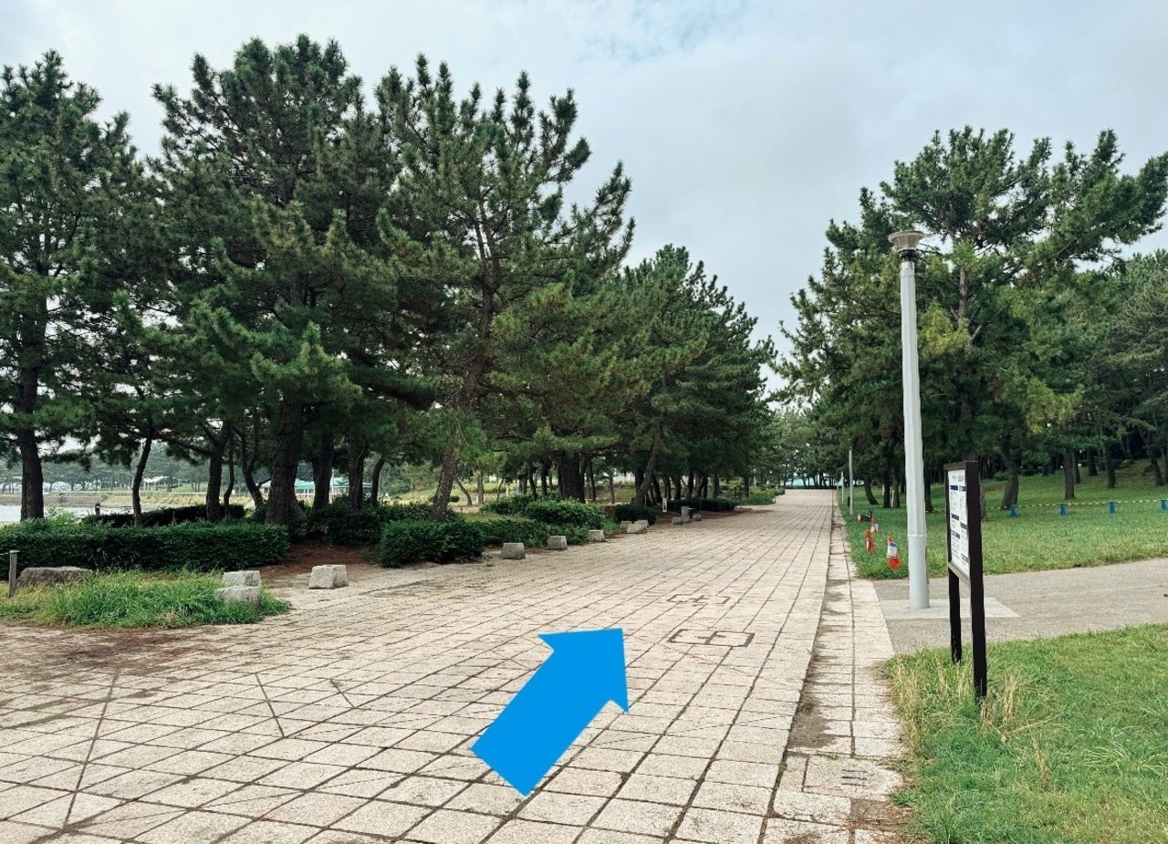スターバックス コーヒー 横浜海の公園店 最寄駅からの行き方3