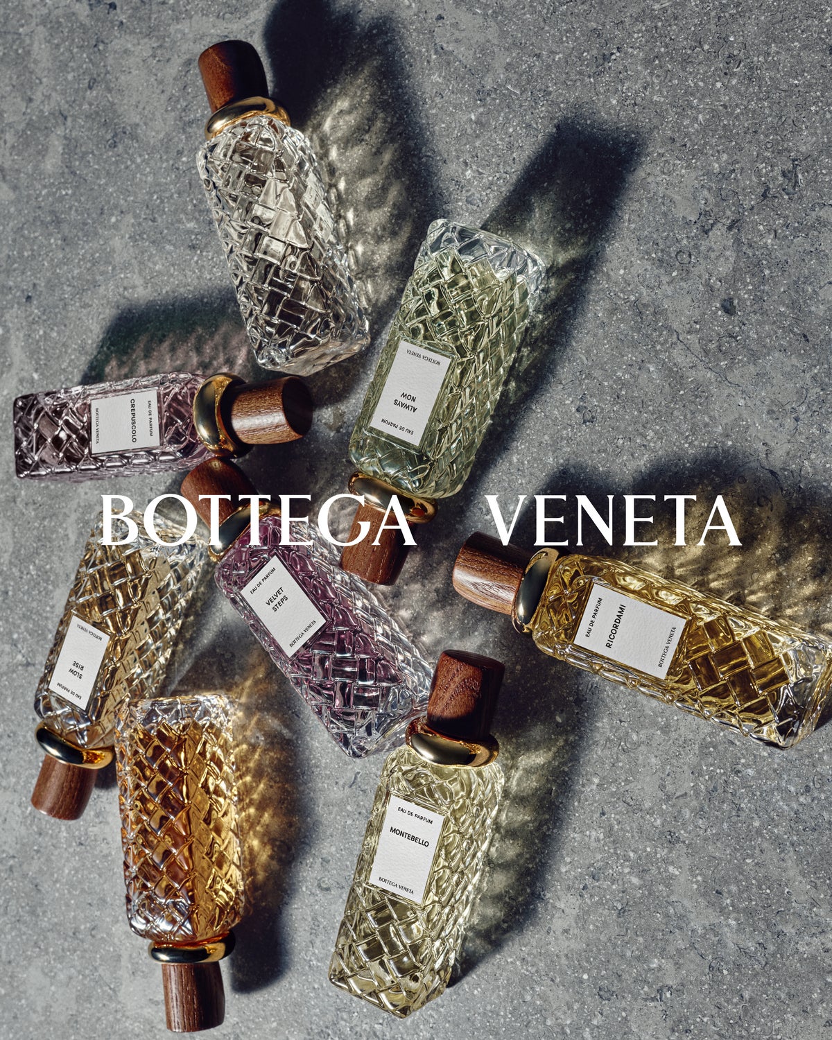 BOTTEGA VENETA Alta ビジュアル