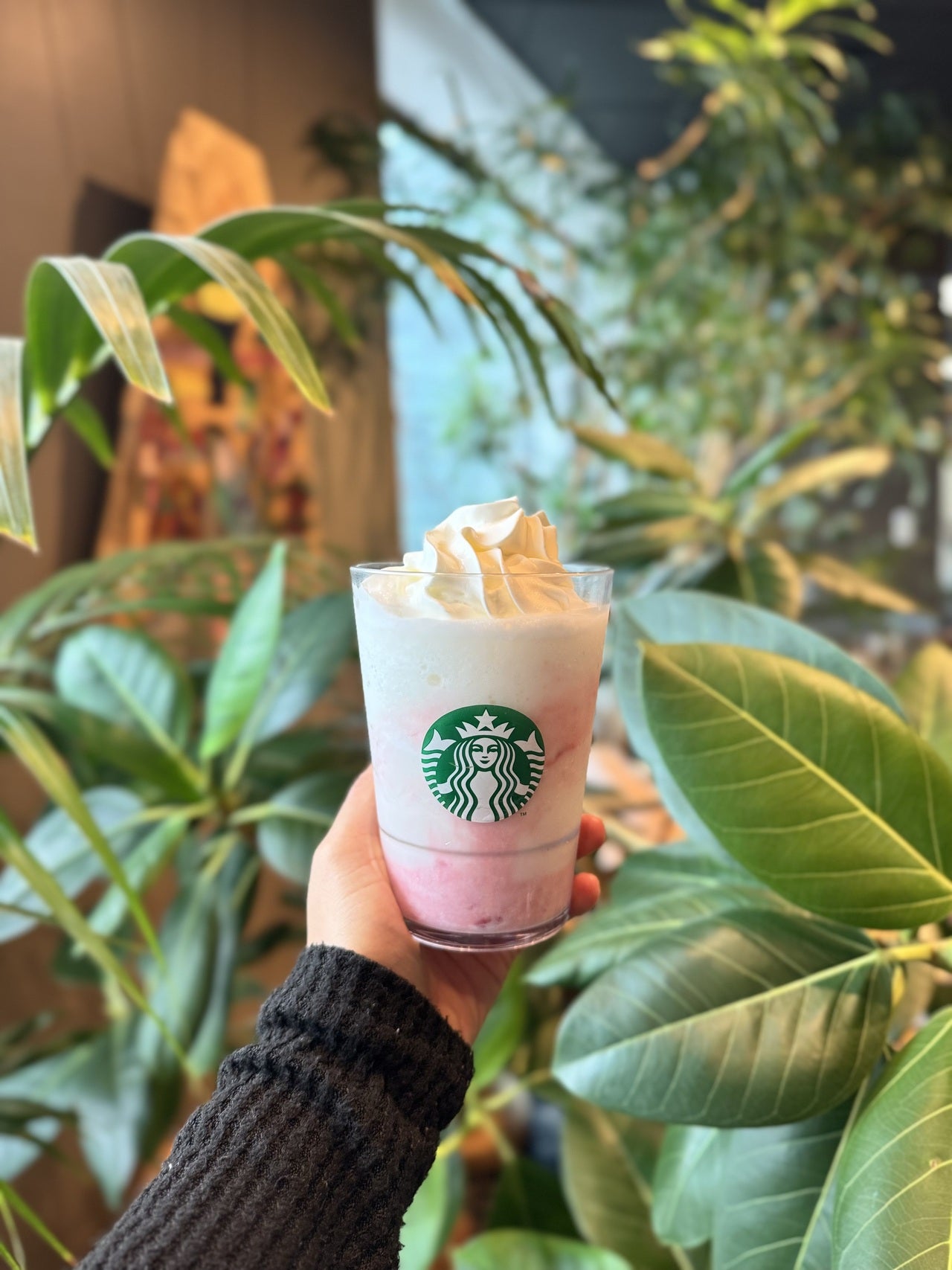 スタバ群馬限定「群馬 やっぱし赤城山なんさ ストロベリー ヨーグルト フラペチーノ&reg;」