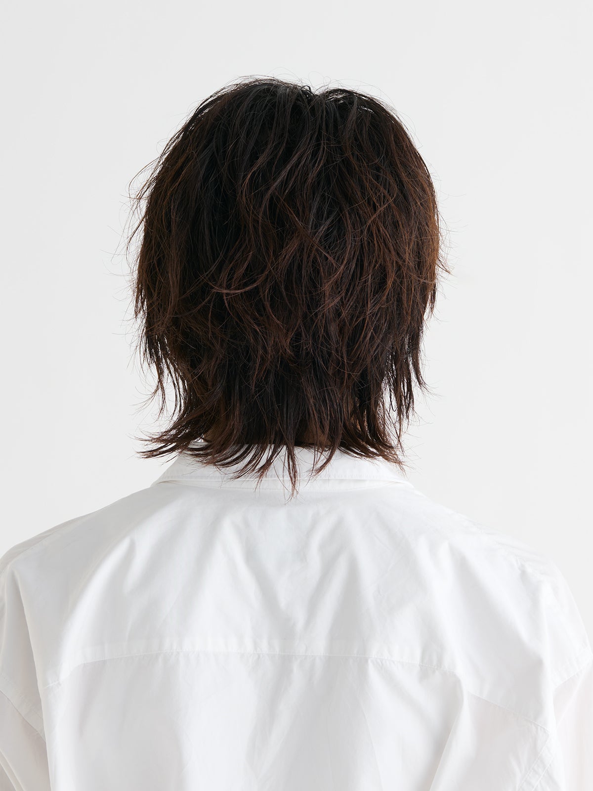 齊藤 望吾、バック