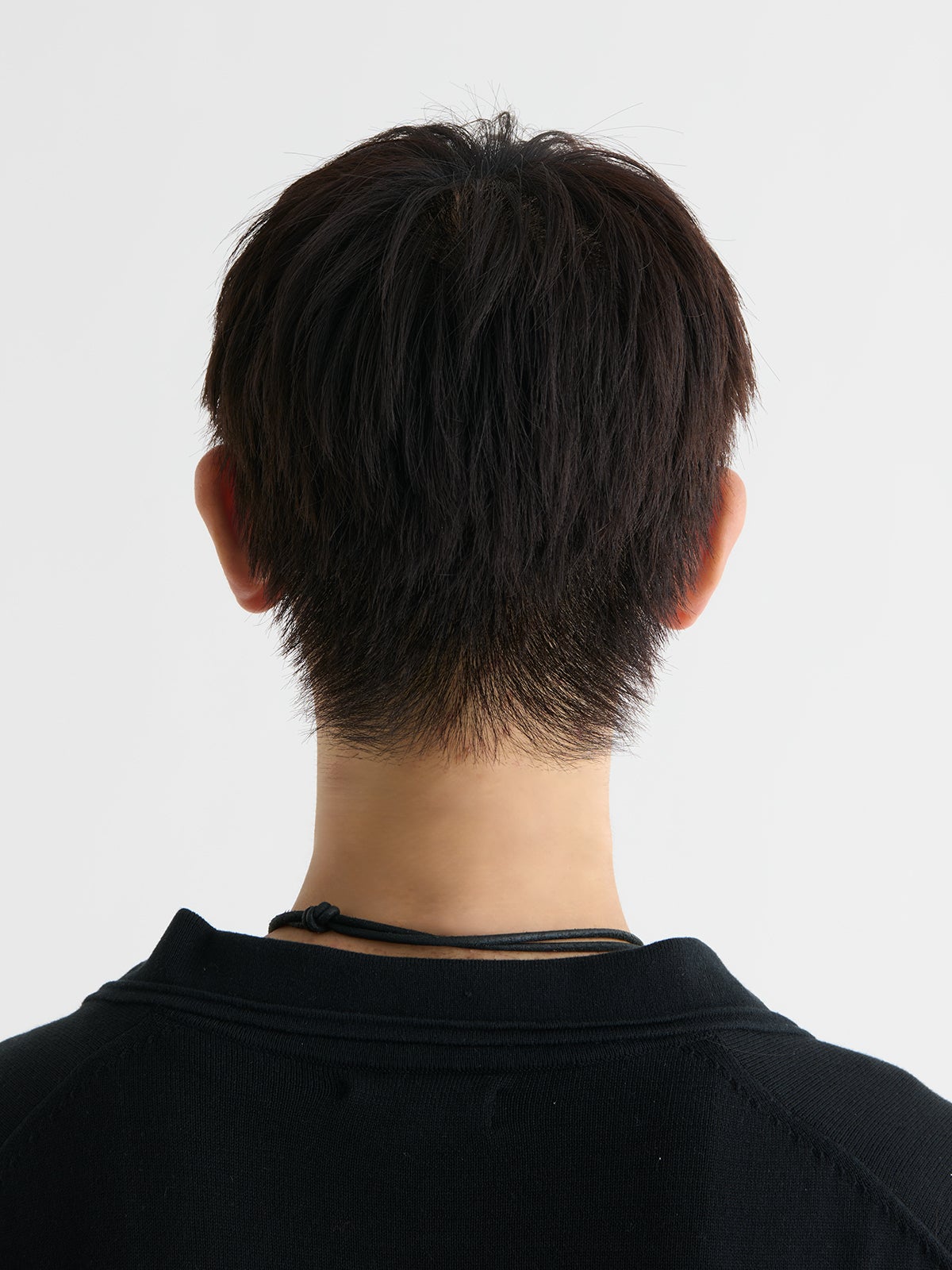 平賀 惟吹、バック