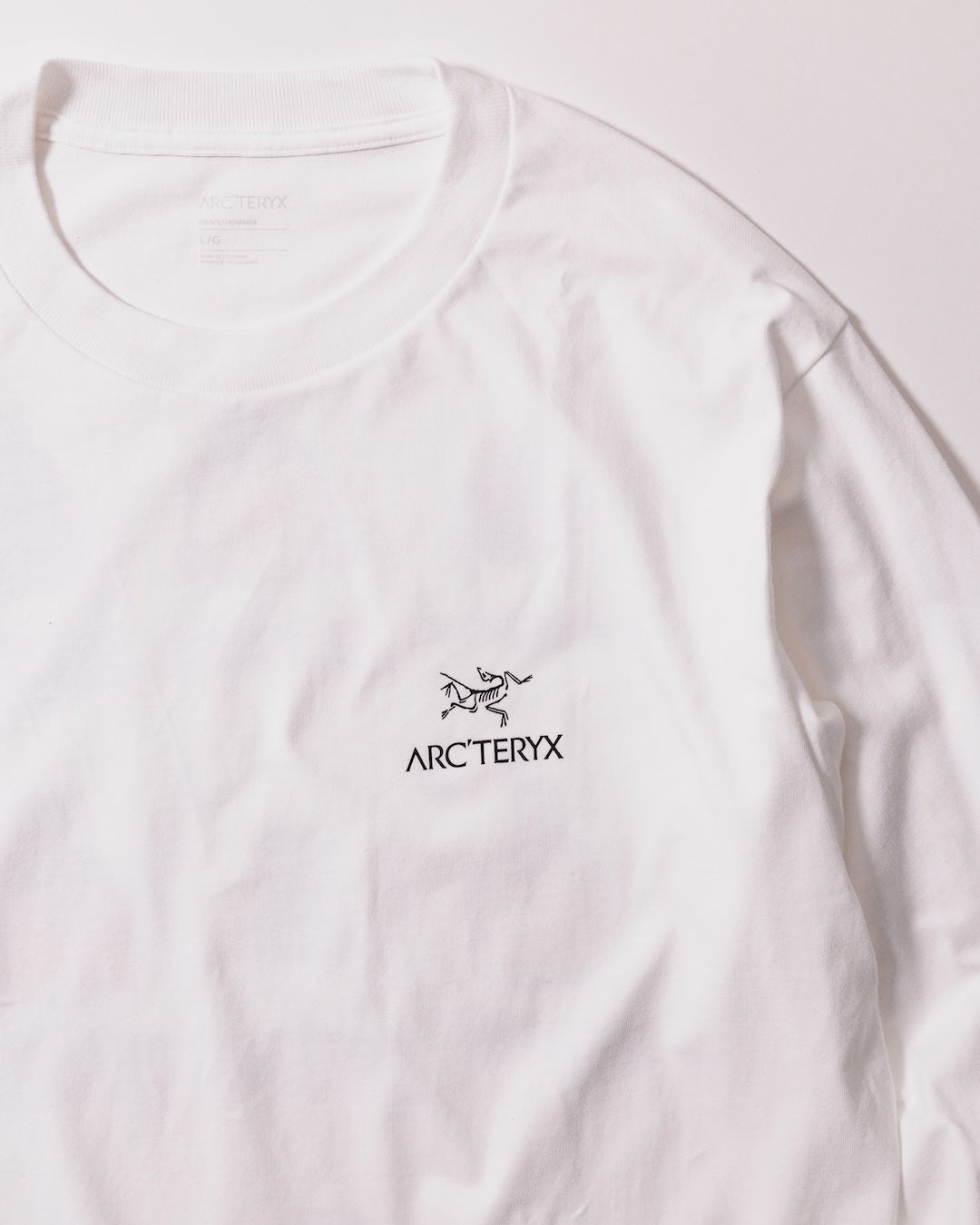 ARC'TERYX × BEAMS Anniversary Collection ロンT ロゴ