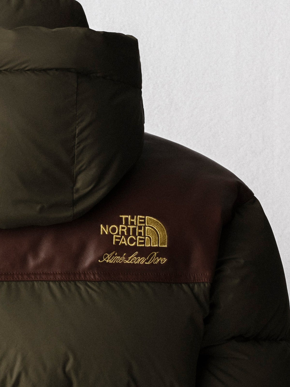 THE NORTH FACE × Aimé Leon Dore 2026 年秋冬カプセルコレクション ダウン ロゴ