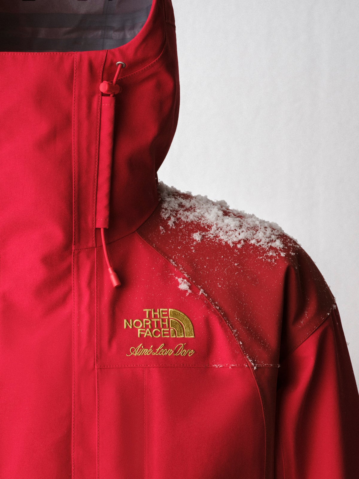THE NORTH FACE × Aimé Leon Dore 2026 年秋冬カプセルコレクションジャケット ロゴ