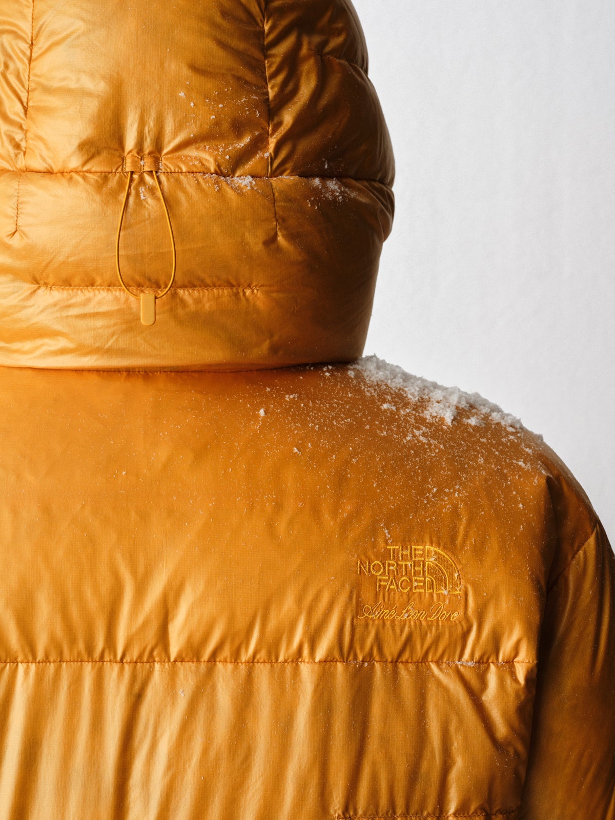 THE NORTH FACE × Aimé Leon Dore 2026 年秋冬カプセルコレクション ダウン イエロー
