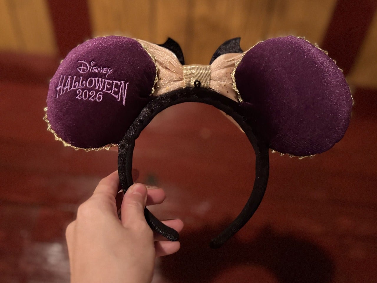 ディズニーシーハロウィンカチューシャ２裏