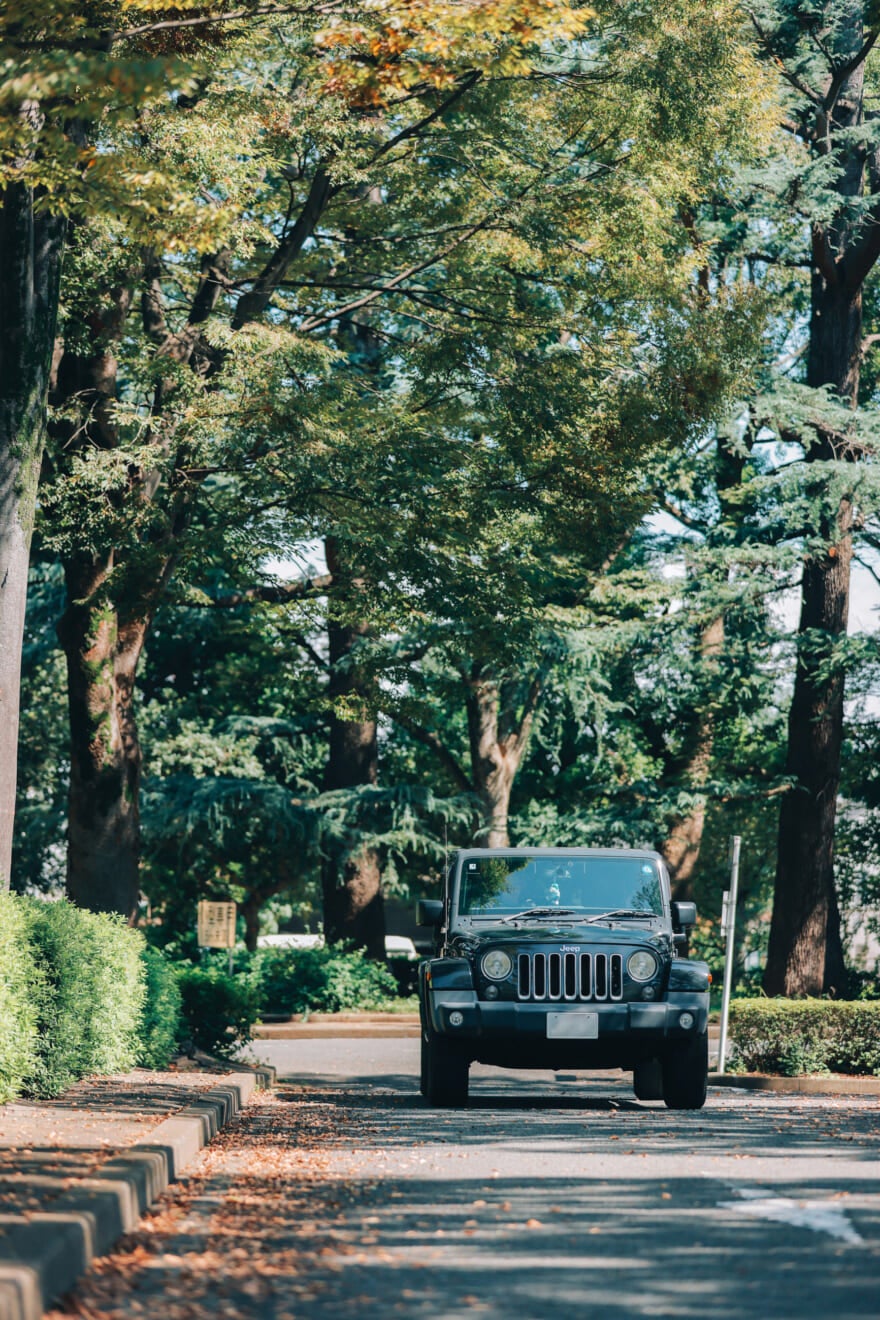 JEEP WRANGLER/ジープ ラングラー 3