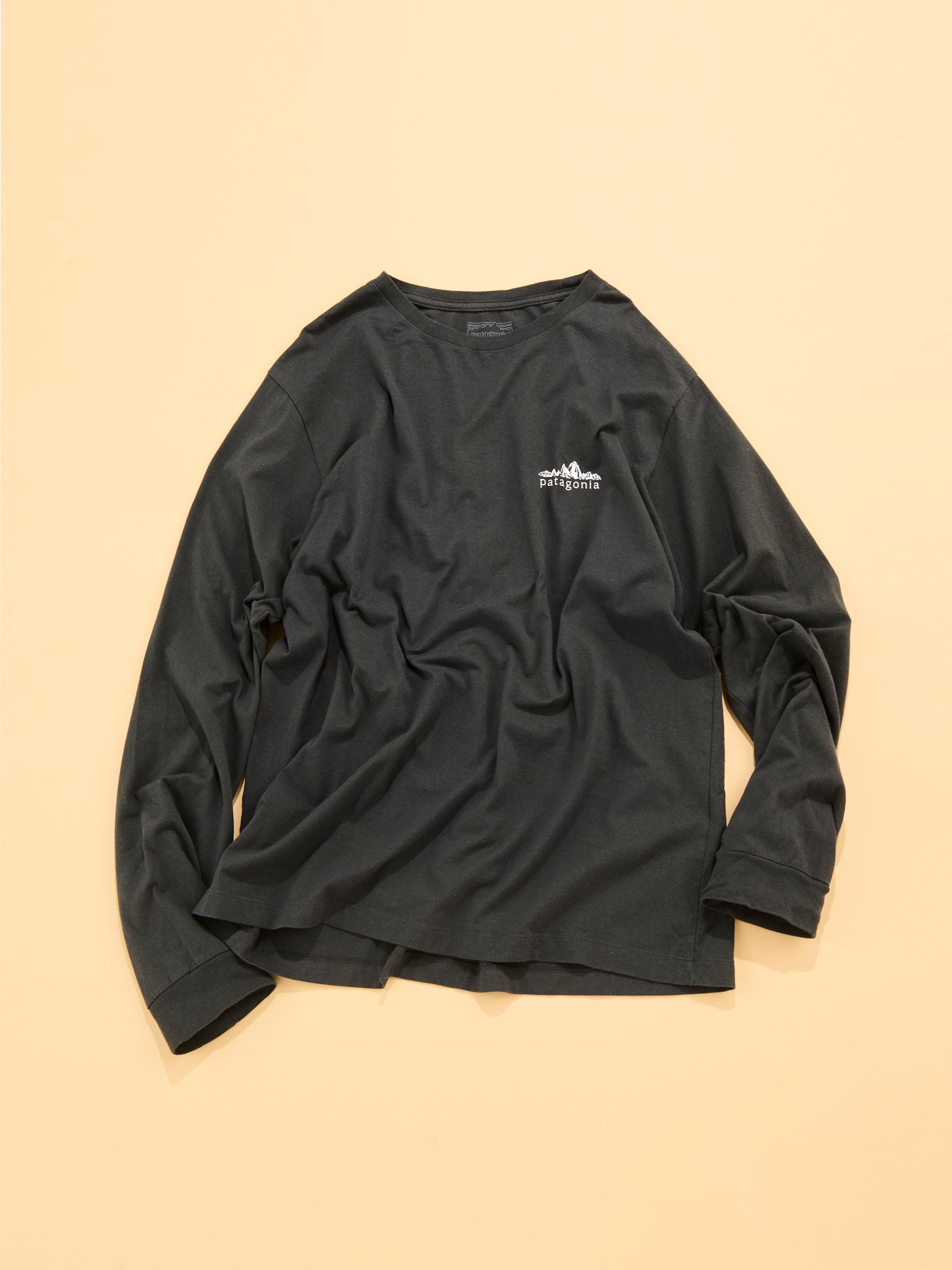 パタゴニアのメンズ・ロングスリーブ・フィッツロイ・フットヒルズ・Tシャツ
