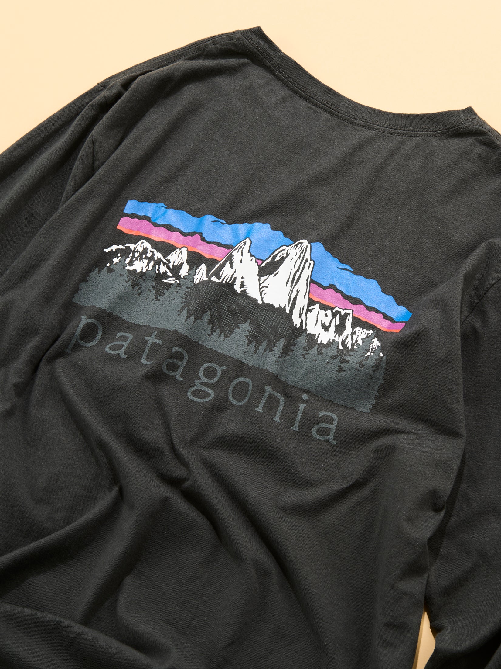 パタゴニアのメンズ・ロングスリーブ・フィッツロイ・フットヒルズ・Tシャツの背面のロゴ