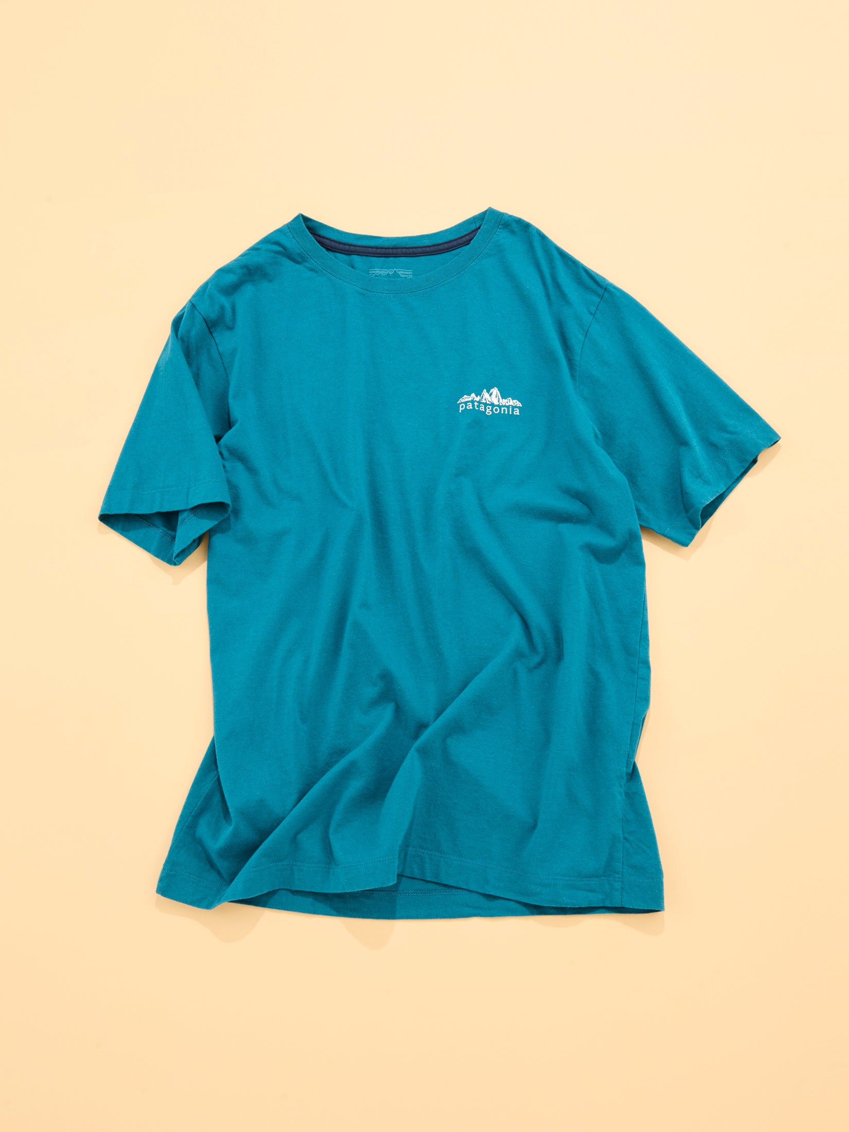 パタゴニアのメンズ・フィッツロイ・フットヒルズ・Tシャツ