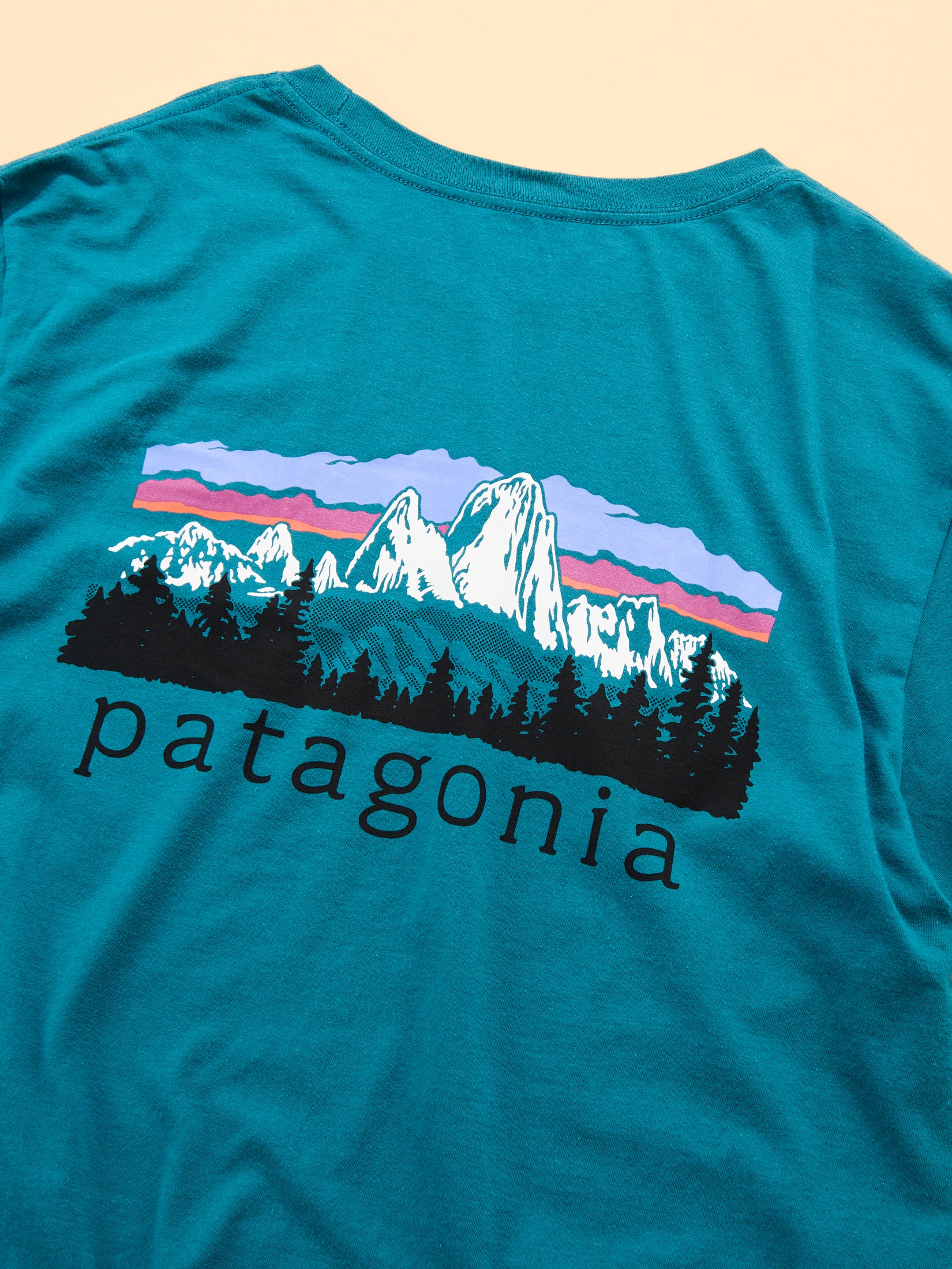 パタゴニアのメンズ・フィッツロイ・フットヒルズ・Tシャツの背面のロゴ