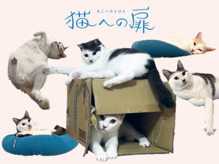 記事のサムネイル