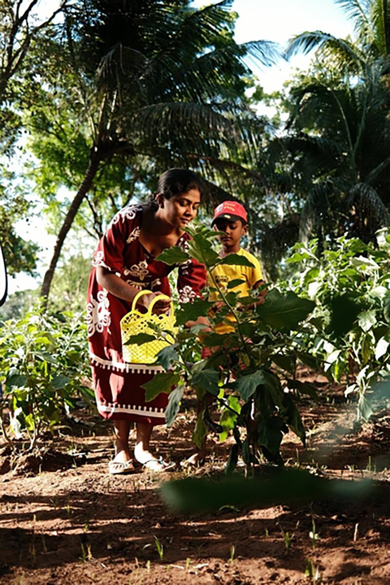 マイケル・コースが支援する「Home-Grown School Feeding（地産地消型学校給食プログラム）」の活動